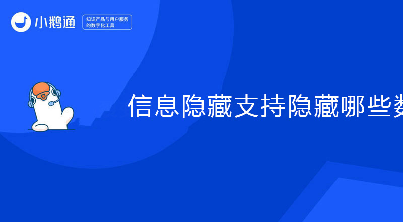 信息隐藏支持隐藏哪些数据？