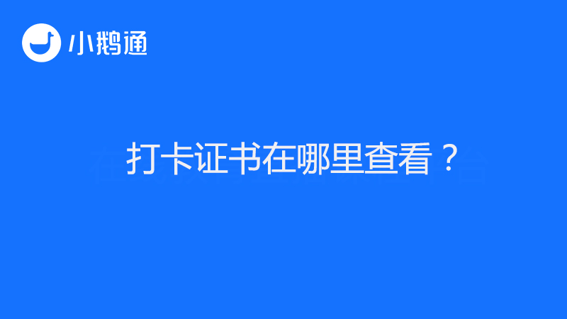 打卡证书在哪里查看？